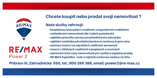 remax-banner-600x300